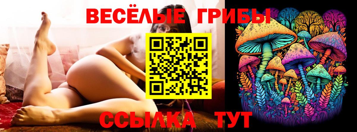 Псилоцибиновые грибы прущие грибы  Вход с VPN  Галлюциногенные грибы MAGIC MUSHROOMS  Саров 